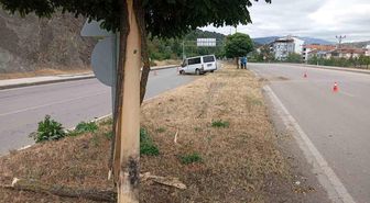 Amasya'da minibüs refüjdeki ağaç ve direğe çarptı: 4 yaralı