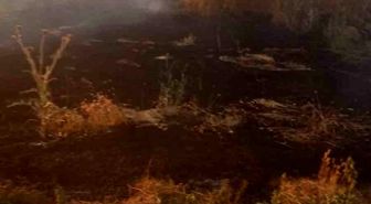 Anız yangını tarım arazileri ve ormanlık alana sıçramadan söndürüldü