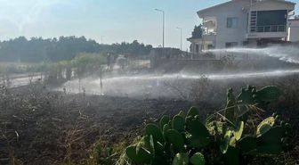 Arsuz'da otluk alan yangını