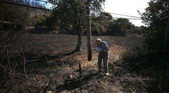 Balıkesir'in Altıeylül ilçesindeki orman yangını büyük ölçüde kontrol altına alındı