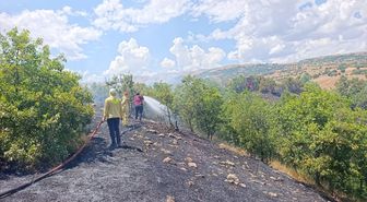 Bingöl'de meşelik alanda çıkan yangın söndürüldü