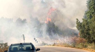 İznik'te korkutan yangın