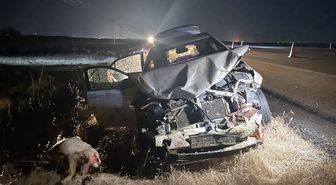 Şanlıurfa'da otomobilin koyun sürüsüne çarpması sonucu 3 kişi yaralandı