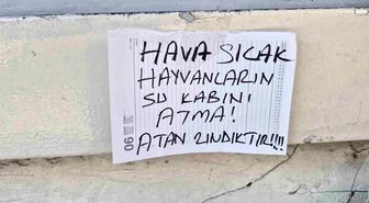 Sokak hayvanlarının su kabını atanlara ilginç tepki: "Atan zındıktır"