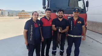 Zonguldak'ta bodrum kata giren sansar yakalandı