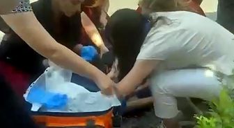 Adana'da minibüsün yaya geçidinde çarptığı kişi hayatını kaybetti