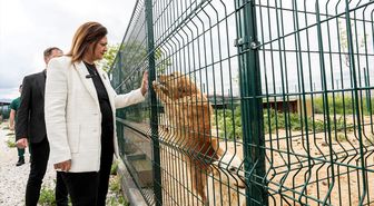 Afyonkarahisar'da 'Sokak Hayvanları Bakım ve Rehabilitasyon Merkezi' kuruldu
