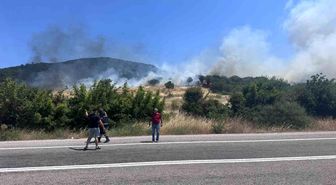 Ayvacık'ta orman yangını