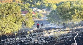 Elazığ'da arazi yangını