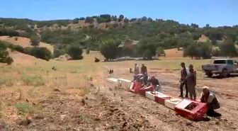 Elazığ'da kenelerle mücadele için doğaya keklik bırakıldı