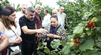 Giresun'da fındıkta dikim sistemleriyle ilgili tarla günü etkinliği düzenlendi