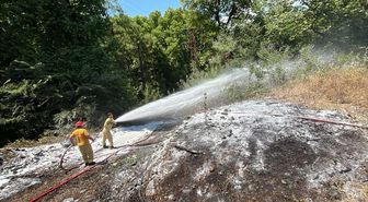 Marmaris'te ormanlık alanda çıkan yangın söndürüldü