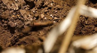 Rusya'nın Ukrayna saldırılarında can kaybı 29'a yükseldi
