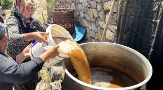 Servi köyünde asırlık gelenek yaşatılıyor: Dut pekmezi büyük emeklerle hazırlanıyor