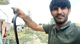 Siirt'te evine giren yılanı eliyle yakaladı