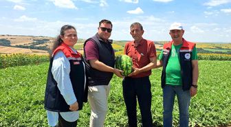 Tekirdağ'da ilk karpuz hasadı başladı