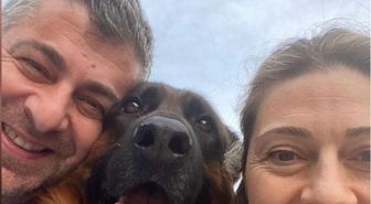 25 gündür kayıp olan köpek 'Santos'u bulana 100 bin lira ödül