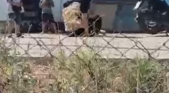 Hatay'da Elinde Bıçak Olan Kişi Eşini Dövdü