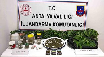Manavgat'ta 2 kilo kubar esrar ve 130 kök kenevir ele geçirildi