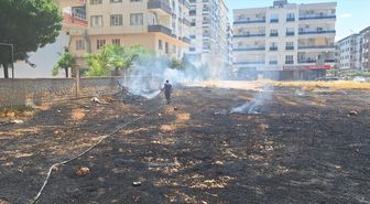 Mardin'de çıkan ot yangını söndürüldü