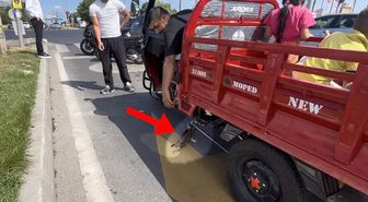 Mopede dadanan yavru kedi ezilmekten son anda kurtarıldı