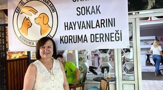 Sarıgöl'de sahipsiz hayvanlara umut oluyorlar