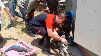 Trafo deliğine başı sıkışan kedi itfaiye ekiplerince kurtarıldı