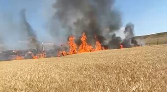 Yozgat'ta buğday ekili alan yangında zarar gördü