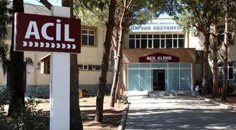 ADÜ Hayvan Hastanesi'nde online randevu dönemi başladı