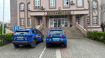 Alaplı'da uyuşturucu operasyonunda 7 kök kenevir ve esrar ele geçirildi