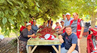 Bayındırlı gençler kiraz hasadına katıldı, üreticilere destek verdi