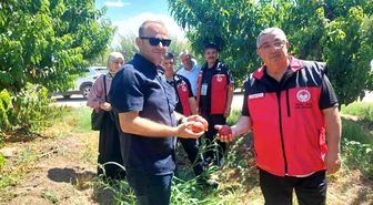 Çanakkale'de bitkisel üretim projeleri değerlendirildi
