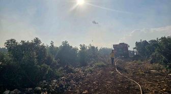 Gaziantep'te çıkan orman yangını havadan ve karadan müdahaleyle söndürüldü