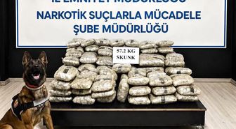 Hakkari'de 57 kilo 200 gram skunk ele geçirildi