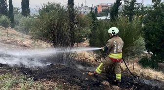 İskenderun'da otluk alan yangını