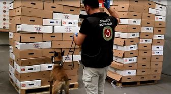 Kapıkule'de tavuk kolilerinden uyuşturucu çıktı: 526 kilo esrar ele geçirildi