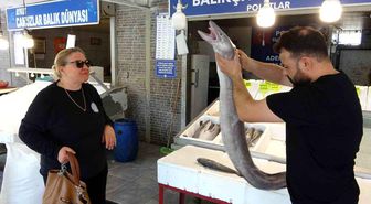 Mersin'de dev yılan balığı tezgahta ilgi odağı oldu