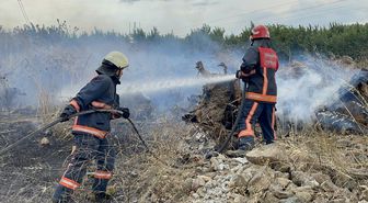 Sakarya'da makilik alanda çıkan yangın söndürüldü