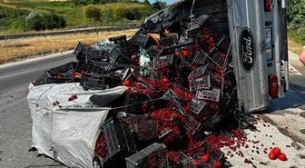 Samsun'da meyve yüklü kamyonet devrildi, 1 kişi yaralandı
