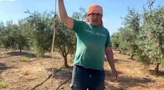 'Yılanı öldürdüm' deyip çektirdiği video pahalıya mal oldu: 22 bin TL ceza yedi