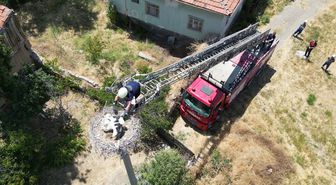 Yuvasında ayağına ip dolanan yavru leyleğe itfaiye yardımı