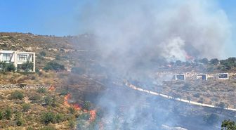 Bodrum'da Otluk ve Makilik Alanda Yangın Çıktı