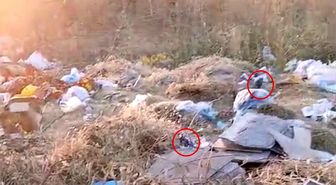 Diyarbakır'da boş arazideki çöpler fare yuvasına döndü