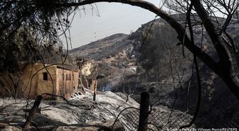 İspanya'da orman yangını: 11 ölü, 19 kişi kayıp