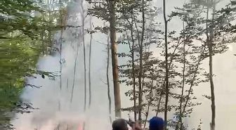 Karacabey'de orman yangını