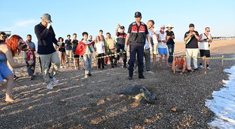 Manavgat'ta tedavisi tamamlanan yeşil deniz kaplumbağası denize bırakıldı