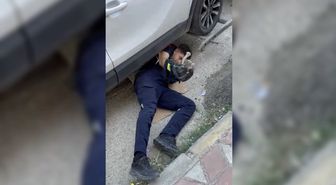 Otomobilin motor kısmına giren yavru kediyi itfaiye kurtardı