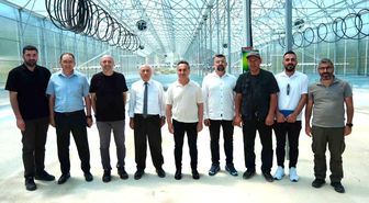 TOGÜ tohumluk patates üretimine başlıyor