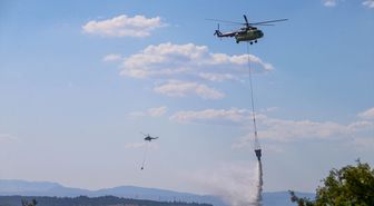 Uşak'ta tarım arazisinde başlayıp ormana sıçrayan yangın kontrol altına alındı