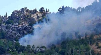 Alanya'da zirai alanda çıkan yangın söndürüldü